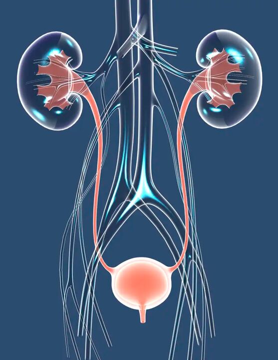 Εικονογράφηση μιας υγιούς ανδρικής υγείας